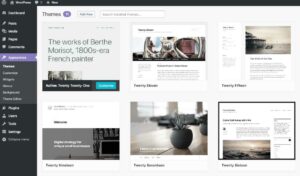 widok admina w wordpress